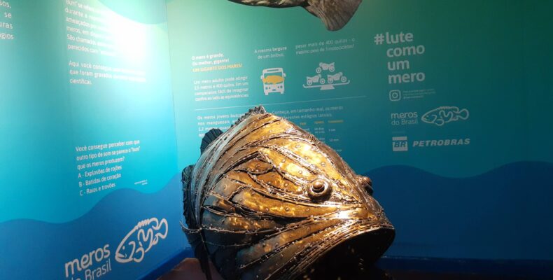 Projeto Meros do Brasil inaugura espaço destinado à preservação da vida marinha em Curitiba